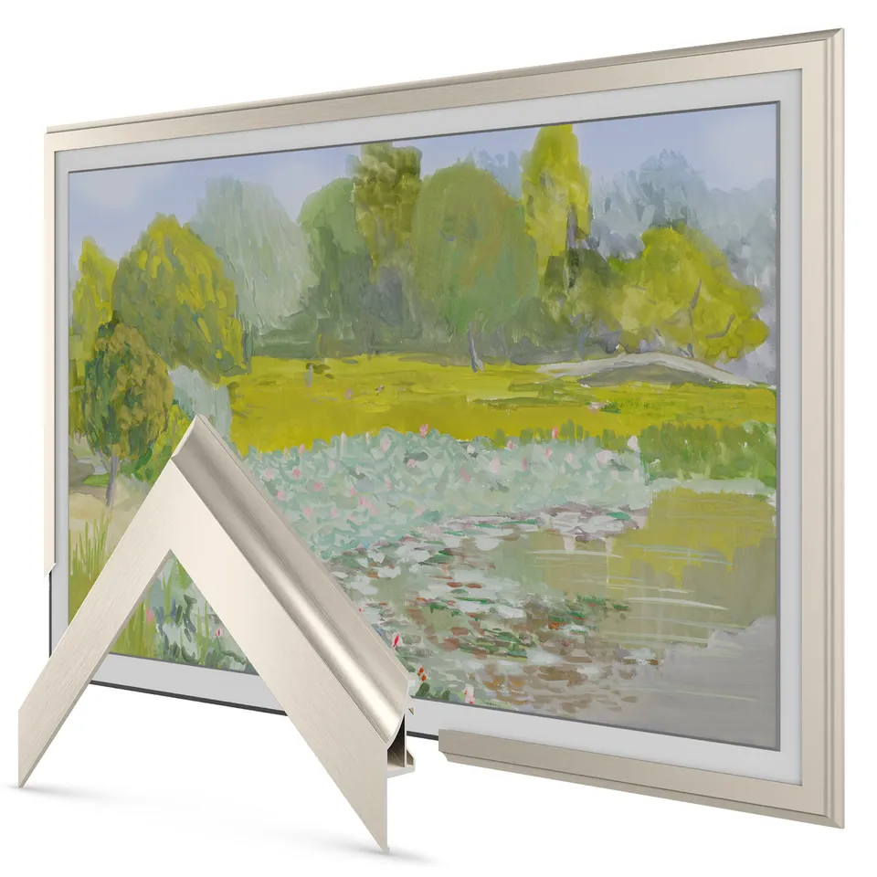 Scoop German Silver Alloy TV frame — frame view