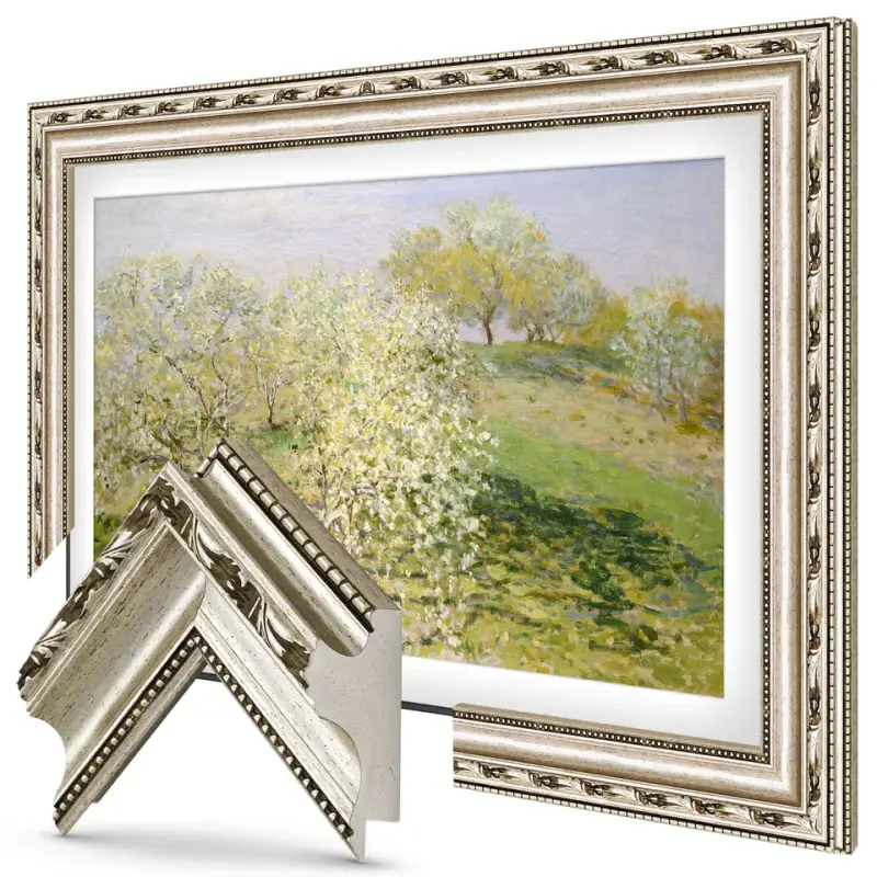 Ornate Silver Premiere TV frame — frame view