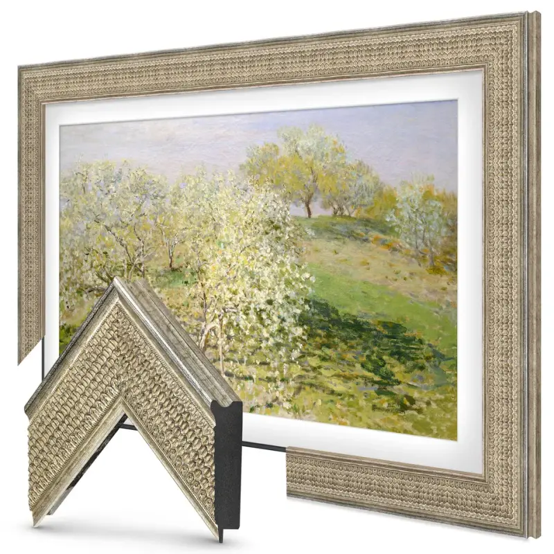 Gatsby Silver Premiere TV frame — frame view