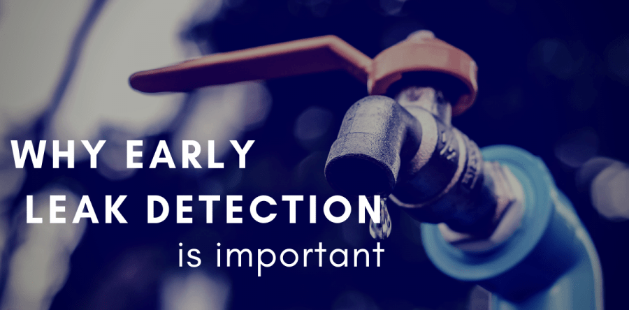 Why Early Leak Detection is Important